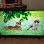 55" телевизор 4k LG, снимка 2
