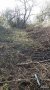 Косене на трева, почистване  на дворове парцели ,Рязане на дървета кастрене , снимка 2