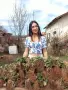 Продавам разсад ягоди , снимка 1