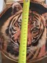 колекционерска порцеланова чиния Тигър Royal Doulton 18/4, снимка 7