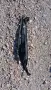Пластмаса Peugeot 207 CC 1.6 2007 9680266280 207 (2006-2012), снимка 1
