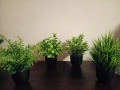 Комплект 4бр. изкуствени растения, снимка 3
