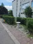Професионално озеленяване и поддръжка на дворове, снимка 10
