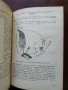 Практическо ръководство по анатомия и морфология на растенията , снимка 3