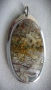 Сребърен медальон с фосил от динозавър-dino bone, снимка 1