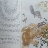 Рикки-Тикки-Тави - Р.Киплинг - 1980г. , снимка 4 - Детски книжки - 41474184