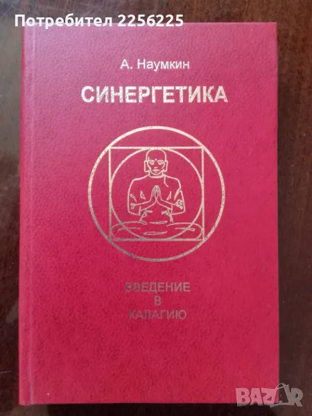 Синергетика, снимка 1