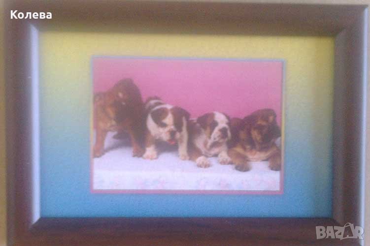 Кученца. Картина с рамка, снимка 1