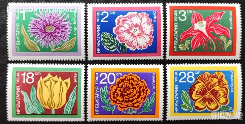 България, 1974 г. - пълна серия чисти марки, цветя, 5*5, снимка 1