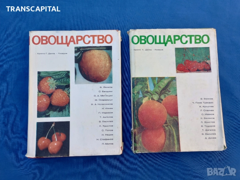 Овощарство , снимка 1