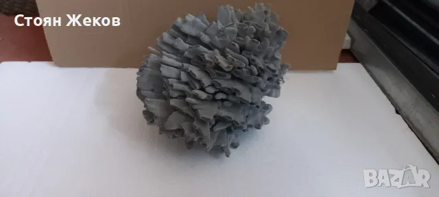 продавам син корал, снимка 2 - Оборудване за аквариуми - 47834487