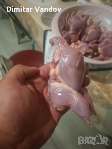 Пресно пъдпъдъче месо , снимка 2 - Домашни продукти - 55935943