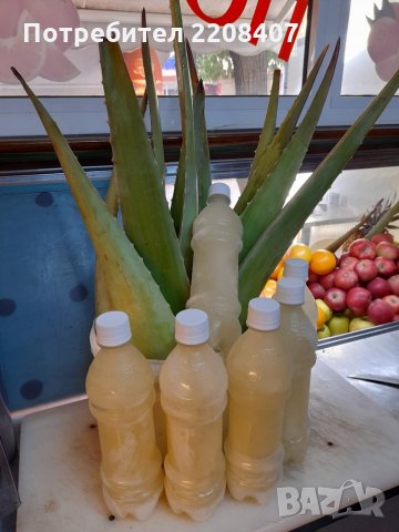 Алое вера листа, снимка 4 - Хранителни добавки - 30444723