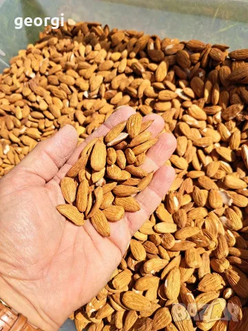 бадеми на ядка био производство , снимка 5 - Домашни продукти - 56206487