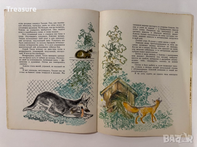 Алиска - Юлия Друнина, снимка 11 - Детски книжки - 48752557