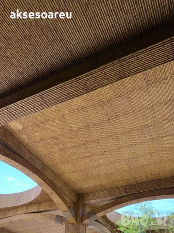 Качествени семена от бамбук Moso Bambo декоративни растения за дома бамбуков разсад за украса декор, снимка 11 - Сортови семена и луковици - 48995203