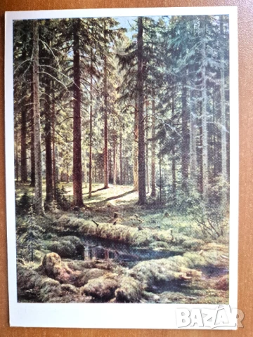 Пощ. картичка   СССР - по  Шишкин 1968 г.