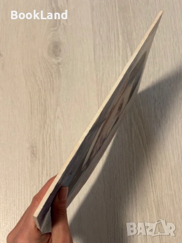 Никола Петров |Алманах| Гражданите на Видин, снимка 2 - Други - 53568540