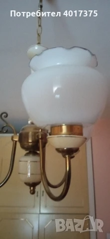 ПОЛИЛЕЙ -класика, снимка 4 - Полилеи - 50681181