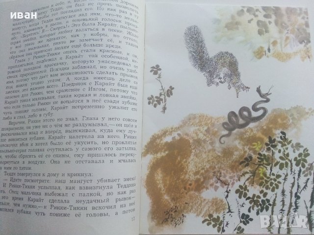 Рикки-Тикки-Тави - Р.Киплинг - 1980г. , снимка 4 - Детски книжки - 41474184