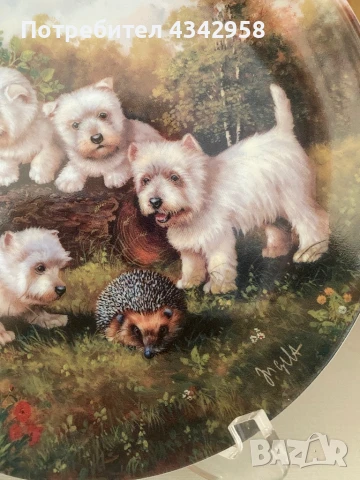 Hutschenreuther.Чиния « Намерено в градина», снимка 3 - Антикварни и старинни предмети - 50812153