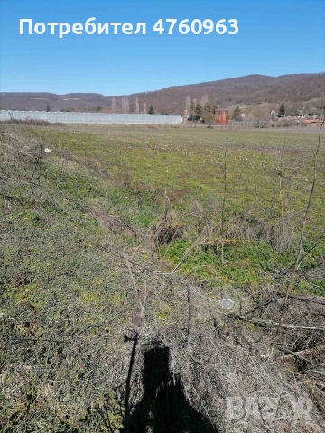 земеделска земя под наем , снимка 2 - Земеделска земя - 53781639