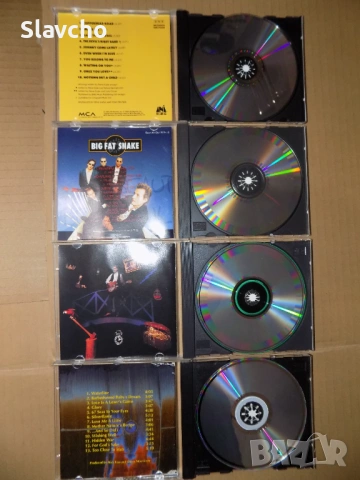 Дискове на -Steve Earle/Big Fat Snake-Beautiful Thing/Roger McGuinn-Back from Rio/Dizzy Mizz Lizzy, снимка 5 - CD дискове - 39950432