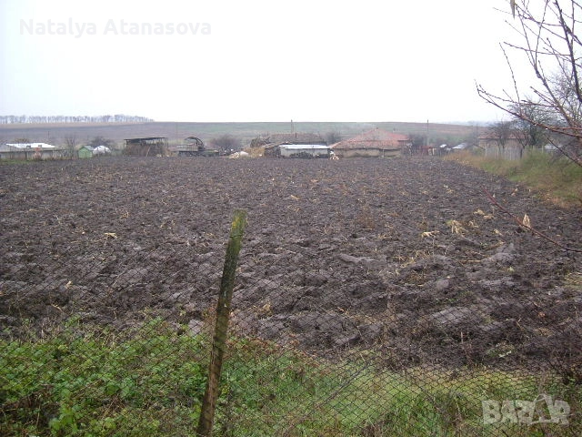 Парцел за продажба в Котленци, Добрич, снимка 2 - Парцели - 53634892