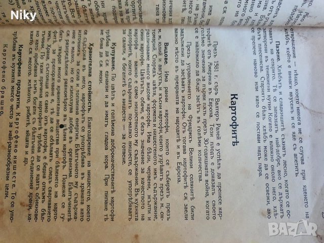 Стара готварска книга от началото на 20 век , снимка 5 - Антикварни и старинни предмети - 53099565