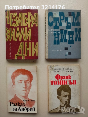 Стръмнини - Емил Манов