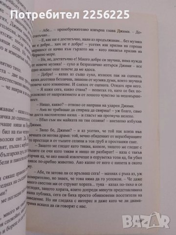 Войник или упование за обезсърчените, снимка 2 - Българска литература - 51212408