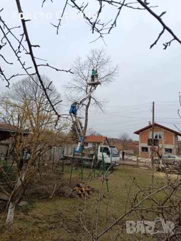 Рязане, кастрене, почистване на терени, снимка 3 - Други услуги - 51964497