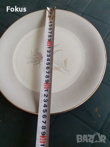 Голяма порцеланова чиния Bavaria, снимка 6 - Антикварни и старинни предмети - 53377324