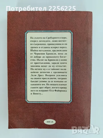 Съкровището в сребърното езеро, снимка 7 - Художествена литература - 56196540