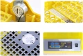 Автоматичен инкубатор за 48 яйца 80W YZ8-48 за пилета, патици, гъски, пъдпъдъци, пуйки, снимка 3