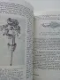 Регулировки в автомобилите Жигули,Москвич и Запорожец - Д.Димитров,Х.Карастоянов - 1978г., снимка 4