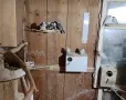 Продавам ято оризарки, снимка 1