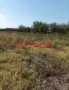 Парцел в Димитровград кв. Черноконево, снимка 5