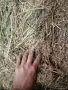 Малки бали чиста люцерна , снимка 3