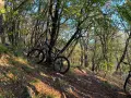 Ел. велосипед Haibike Hardseven 9 2021-2023, снимка 3