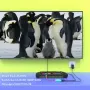 Докинг станция за Switch 2 за Nintendo Switch 1/2 и Steam Deck, поддържаща режим на TV Dock - ЧЕРЕН, снимка 5