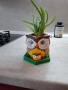 Декоративна саксиийка с Алое, снимка 1