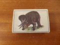 Кибрит с динозавър Стегозавър, снимка 1
