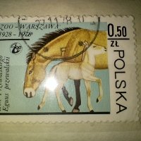 Стари Полски пощенски марки, снимка 1 - Филателия - 41806751