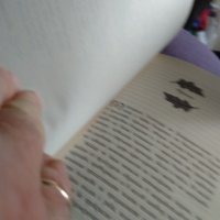Чиракът на рейнджъра -Джон Фланаган  Развалините на Горлан книга 304стр, снимка 8 - Художествена литература - 41045330
