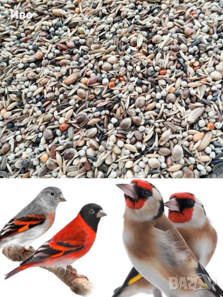 Италианска храна за диви птици PREMIUM , снимка 1