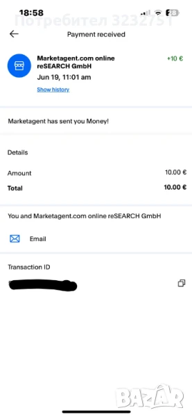 Доходи от анкети, снимка 1