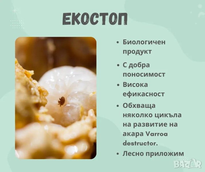 Екостоп, снимка 1