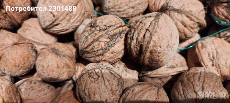 Продавам пресни орехи, снимка 1