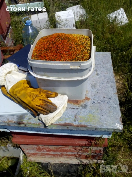 Продавам Пчелен Пашец, снимка 1
